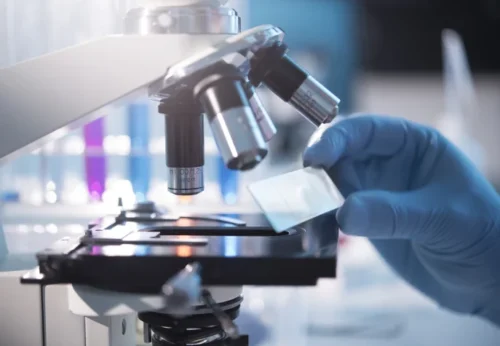 Scientist Working On Quantitative Medicine Program